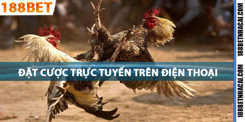 Đạt cược trực tuyến trên điện thoại