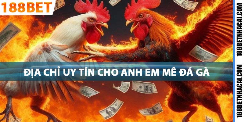 Địa chỉ cá cược đá gà trực tuyến uy tín