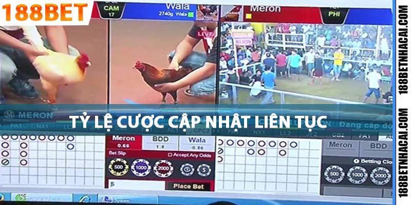 Tỷ lệ cược được cập nhật liên tục